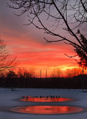 shawshank sunset sm.jpg